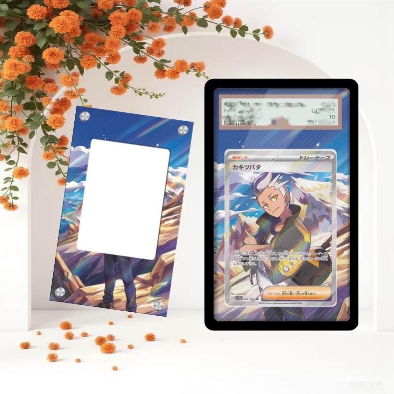 Sanat ekranı Pokemon Drayton k - Anime Merchandise From Japan incelemesi ve fiyatı